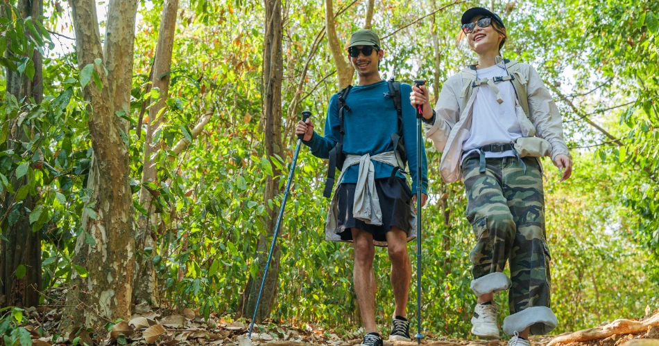 What’s Happening Around Shasta Pines Motel & Suites in Burney This Season