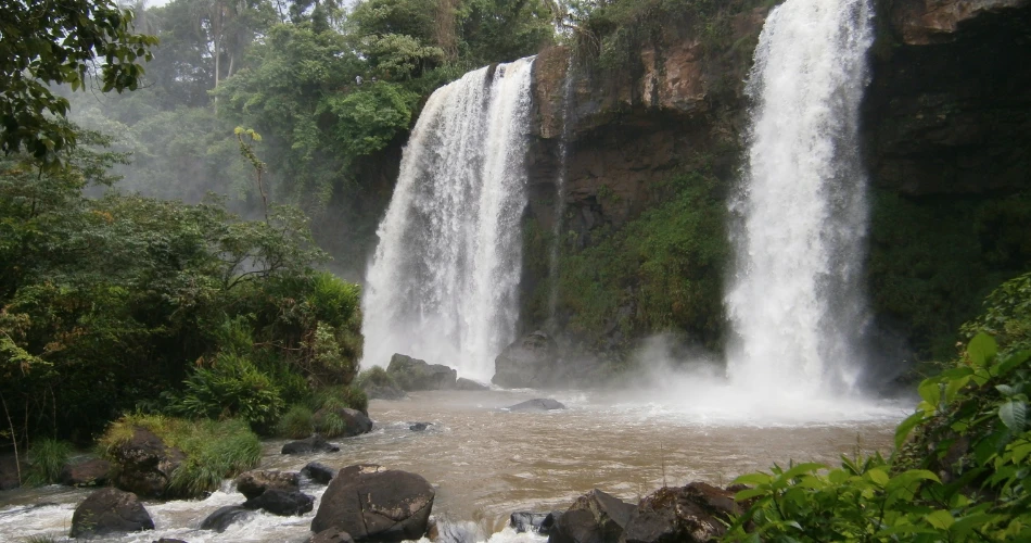 Best Hiking & Nature Spots Close to Shasta Pines Motel & Suites in Burney