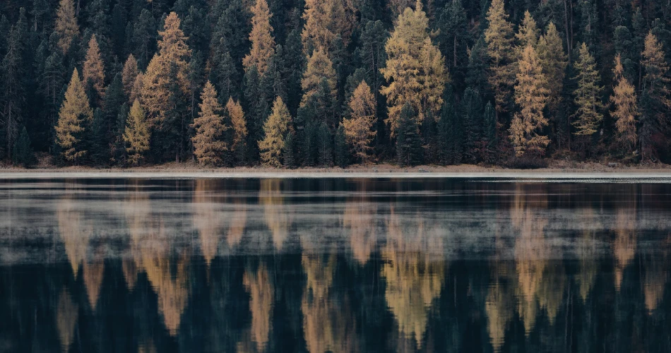 Best Hiking & Nature Spots Close to Shasta Pines Motel & Suites in Burney